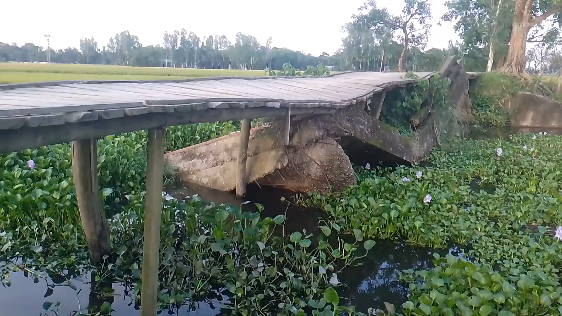 নাগেশ্বরীতে ১৭ বছরেও নির্মাণ হয়নি ভাঙা সেতু, চরম দুর্ভোগে হাজারো মানুষ