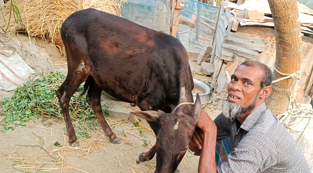 জেলে প্রকল্পে অনিয়মের অভিযোগে তদন্তের ইঙ্গিত