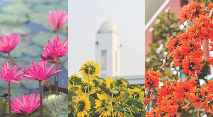 বসন্তের আবাহনে সপ্তরঙে সেজেছে খুলনা বিশ্ববিদ্যালয় ক্যাম্পাস