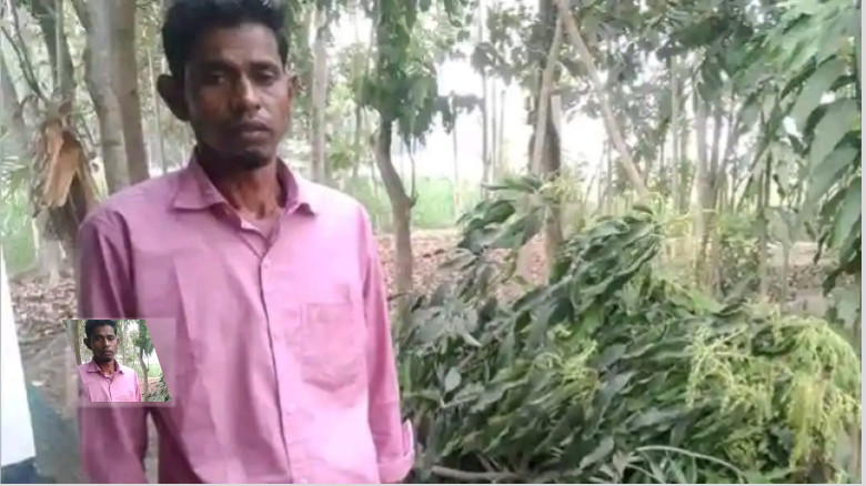 খুলনায় ভোট হারে ক্ষোভে কৃষক কেটে ফেললেন নিজের ফলের গাছ