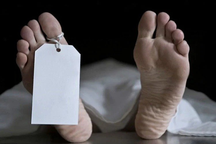 পল্টন এলাকায় মিলল দুটি কাটা হাত ও একটি পা