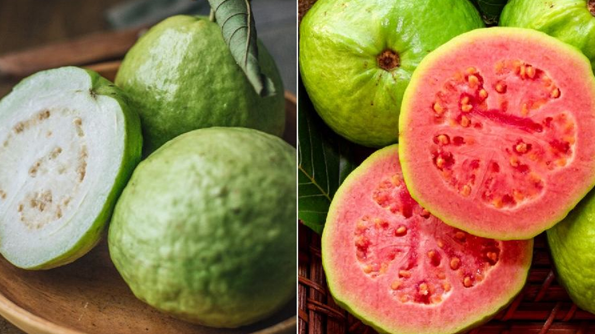 সংগৃহীত