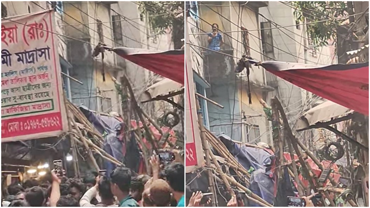 ছবি: সংগৃহীত