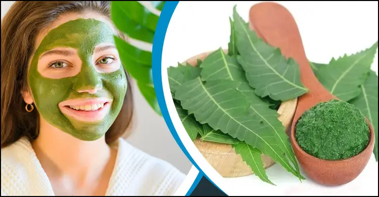 ত্বকের সৌন্দর্যের জন্য বিশেষ উপকারী নিম পাতা