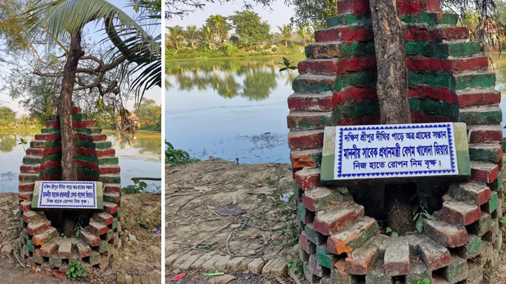বেগম খালেদা জিয়ার মৃত্যু: পৈত্রিক বাড়িতে স্মৃতিচিহ্ন হয়ে দাঁড়িয়েছে রোপণ করা নিমগাছ