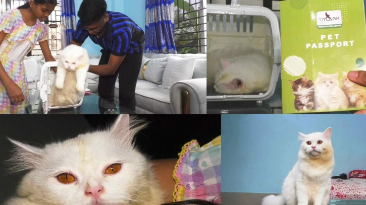 ছবি: সংগৃহীত