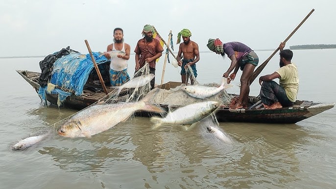 সংগৃহীত