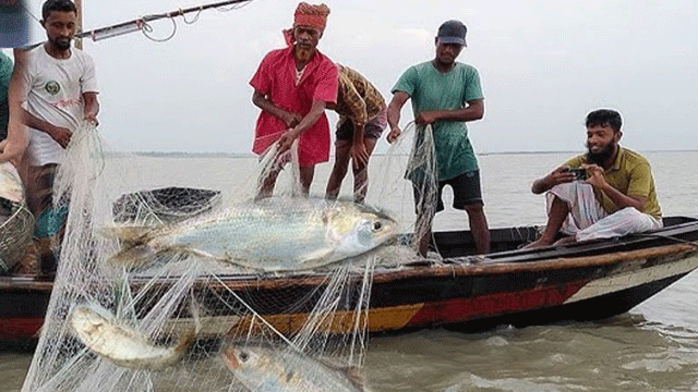 ফাইল ছবি