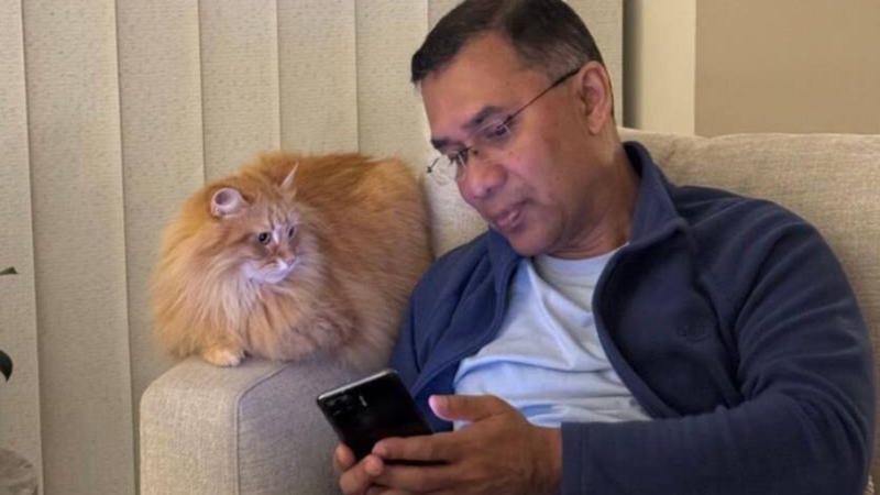 সংগৃহীত