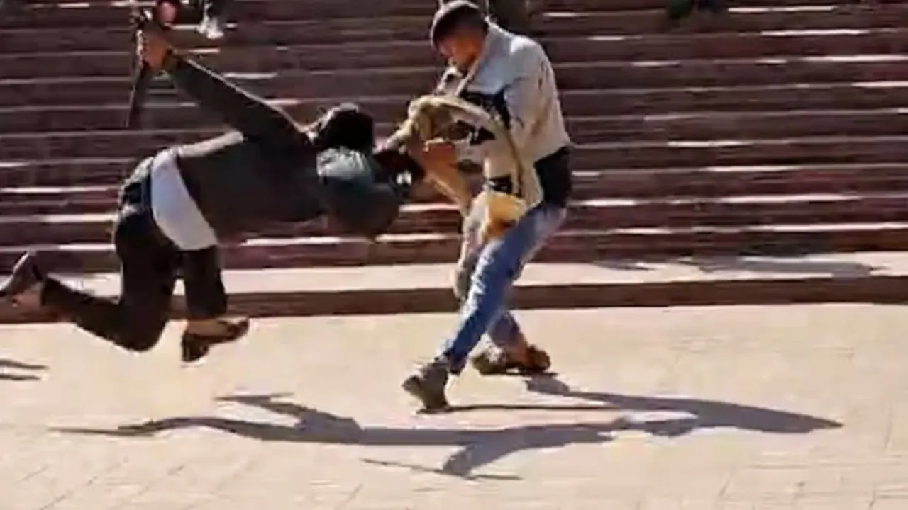 ছবি: সংগৃহীত