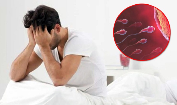 সংগৃহীত