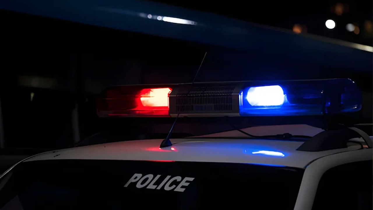 সংগৃহীত