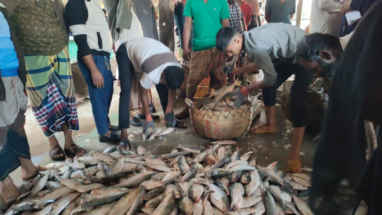 পাথরঘাটার বিএফডিসি মৎস্য অবতরণ কেন্দ্রে মাছগুলো বিক্রি করা হয়। ছবি: সংগৃহীত
