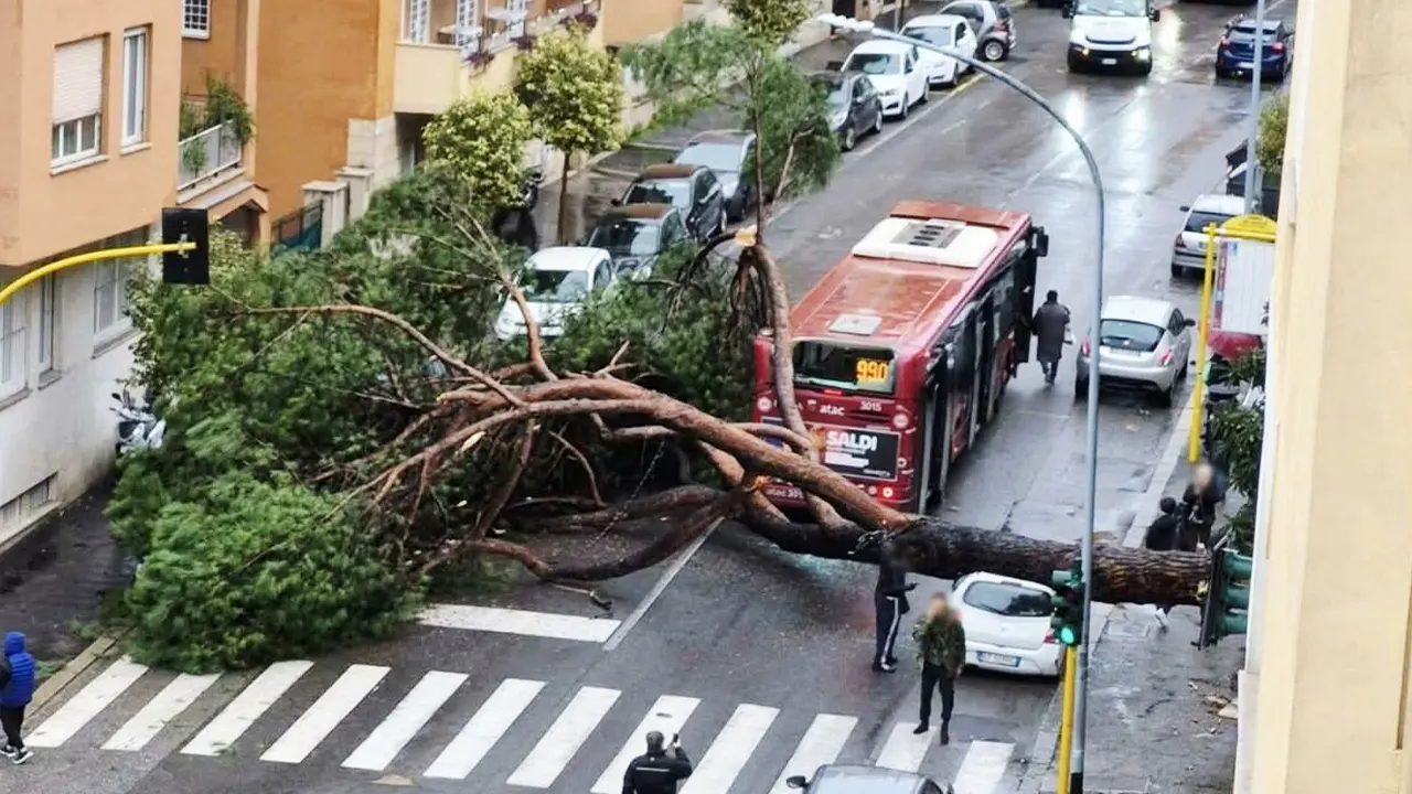 ঝোড়ো হাওয়ায় বিপর্যস্ত রোম, উপড়ে পড়েছে গাছ, ক্ষতিগ্রস্ত যানবাহন