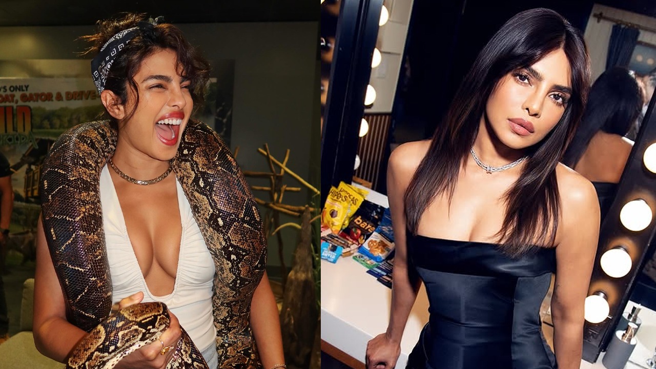 সংগৃহীত