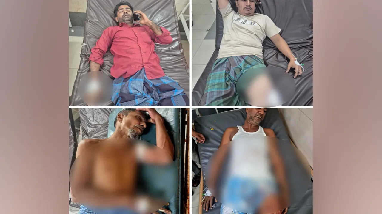 সংগৃহীত