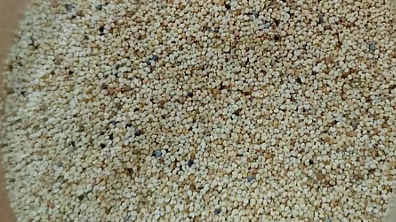 সংগৃহীত