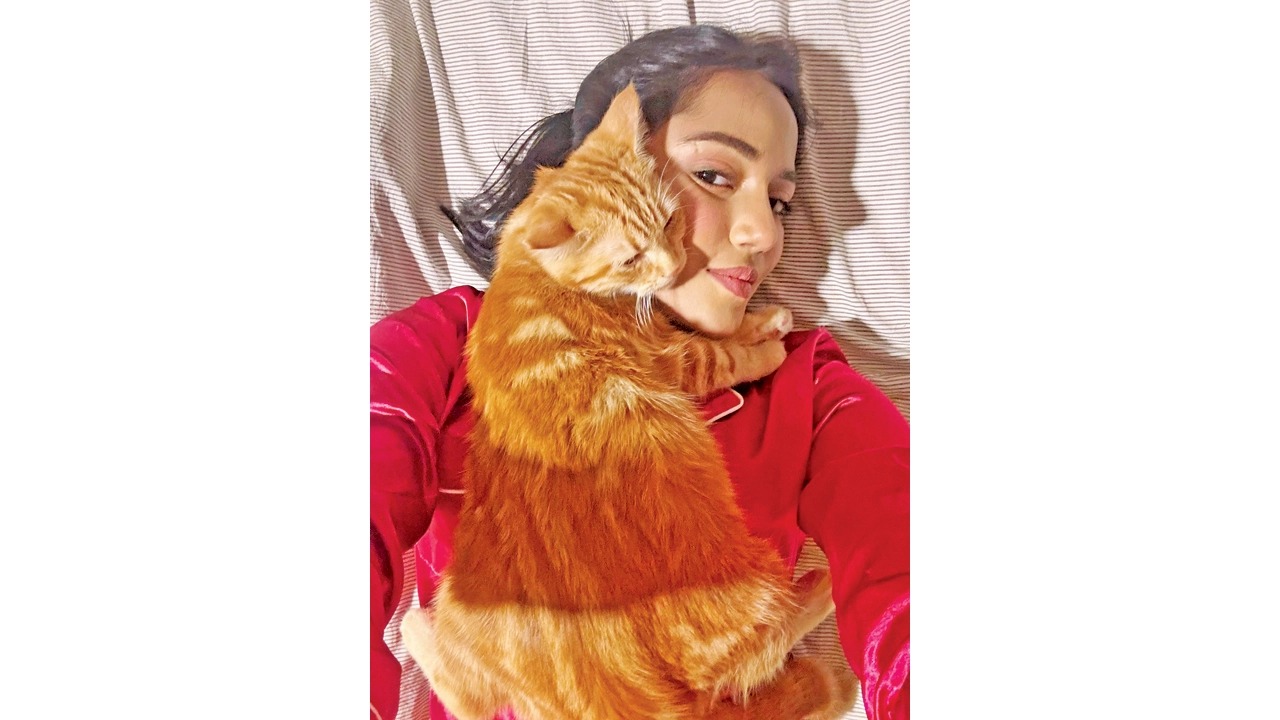 প্রিয় বিড়ালকে বুকে জড়িয়ে সামিরা খান মাহি