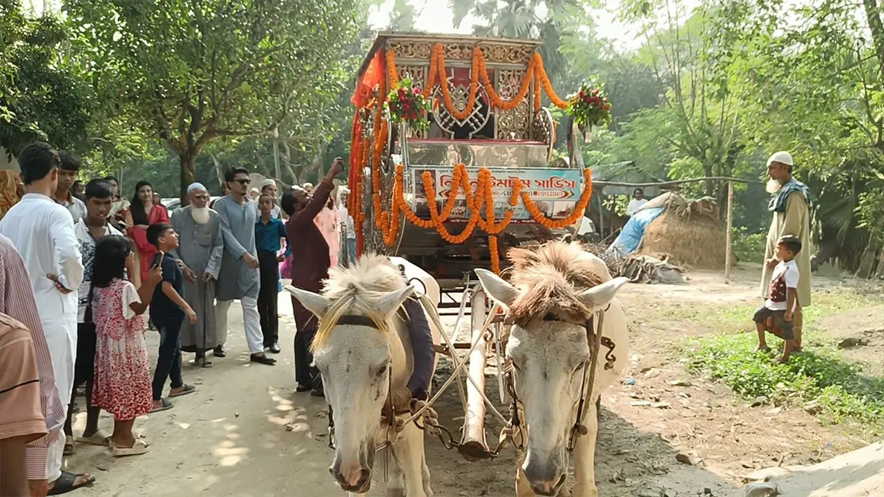 সংগৃহীত