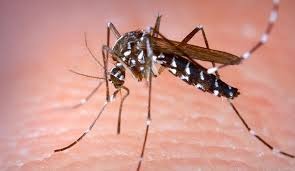 সংগৃহীত