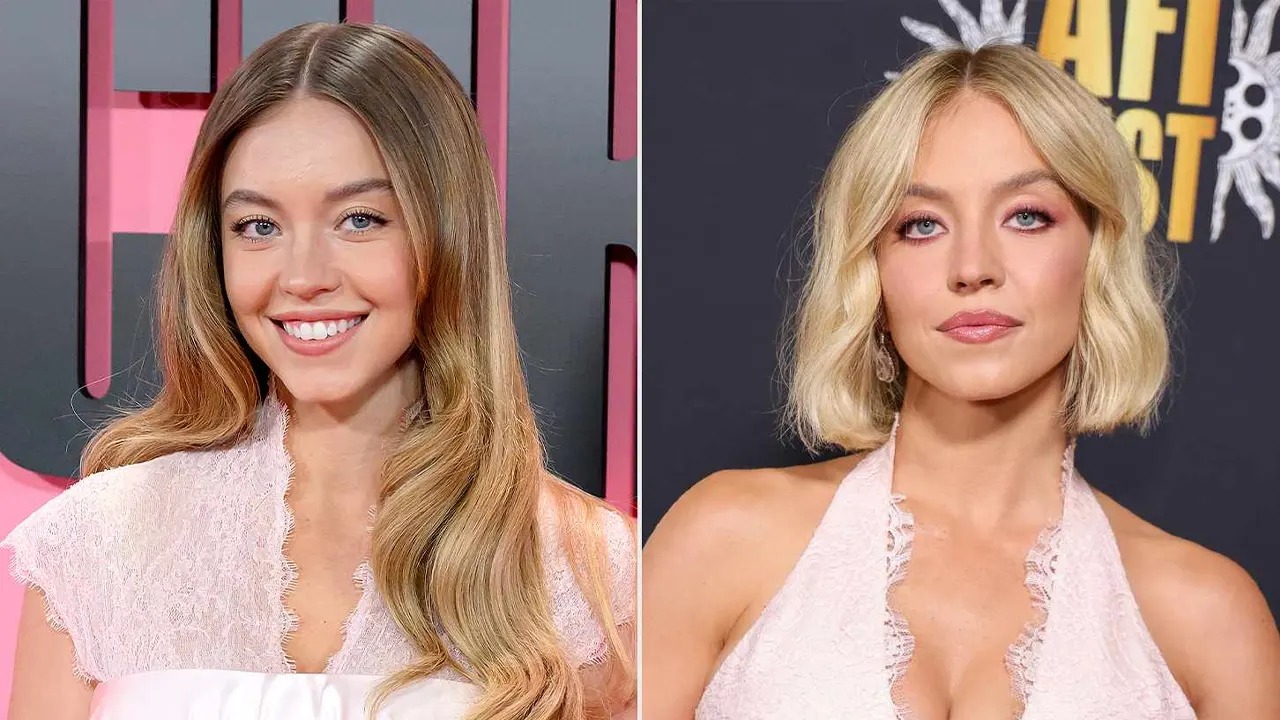 সংগৃহীত