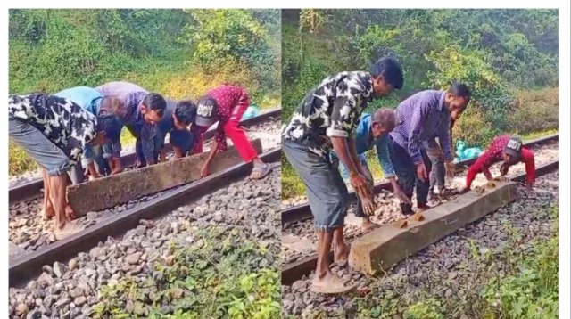 সংগৃহীত