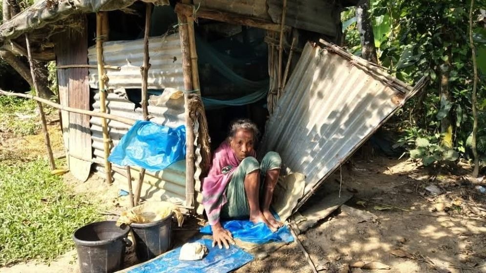 তারেক রহমানের জন্মদিন উপলক্ষে কায়সার কামালের মানবিক উদ্যোগ