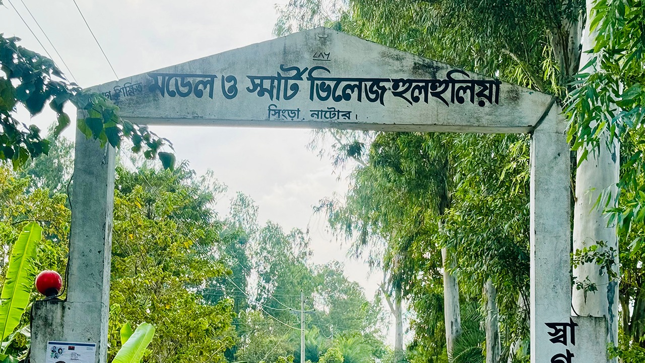 সংগৃহীত