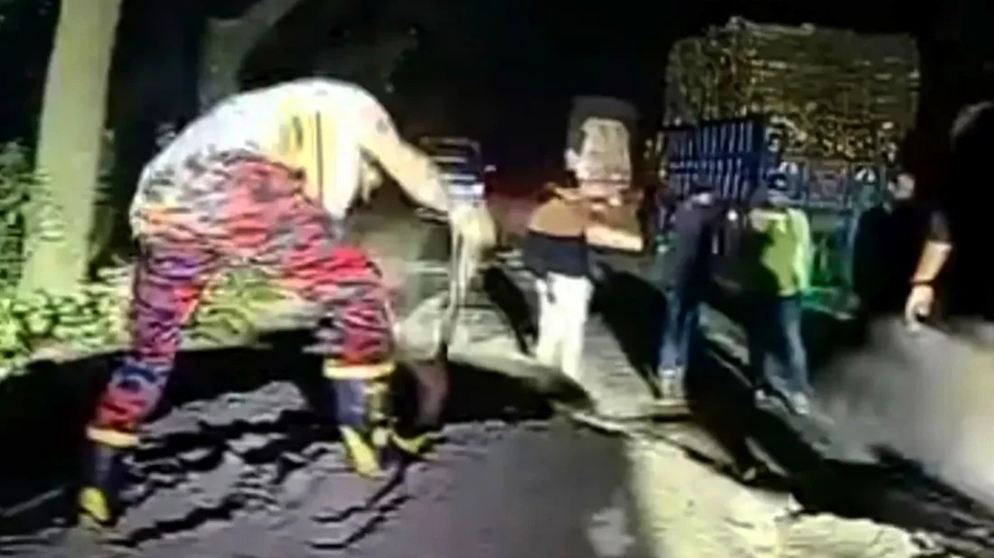 সংগৃহীত