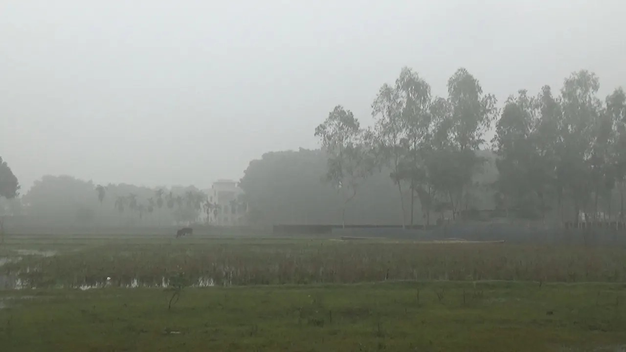 সংগৃহীত