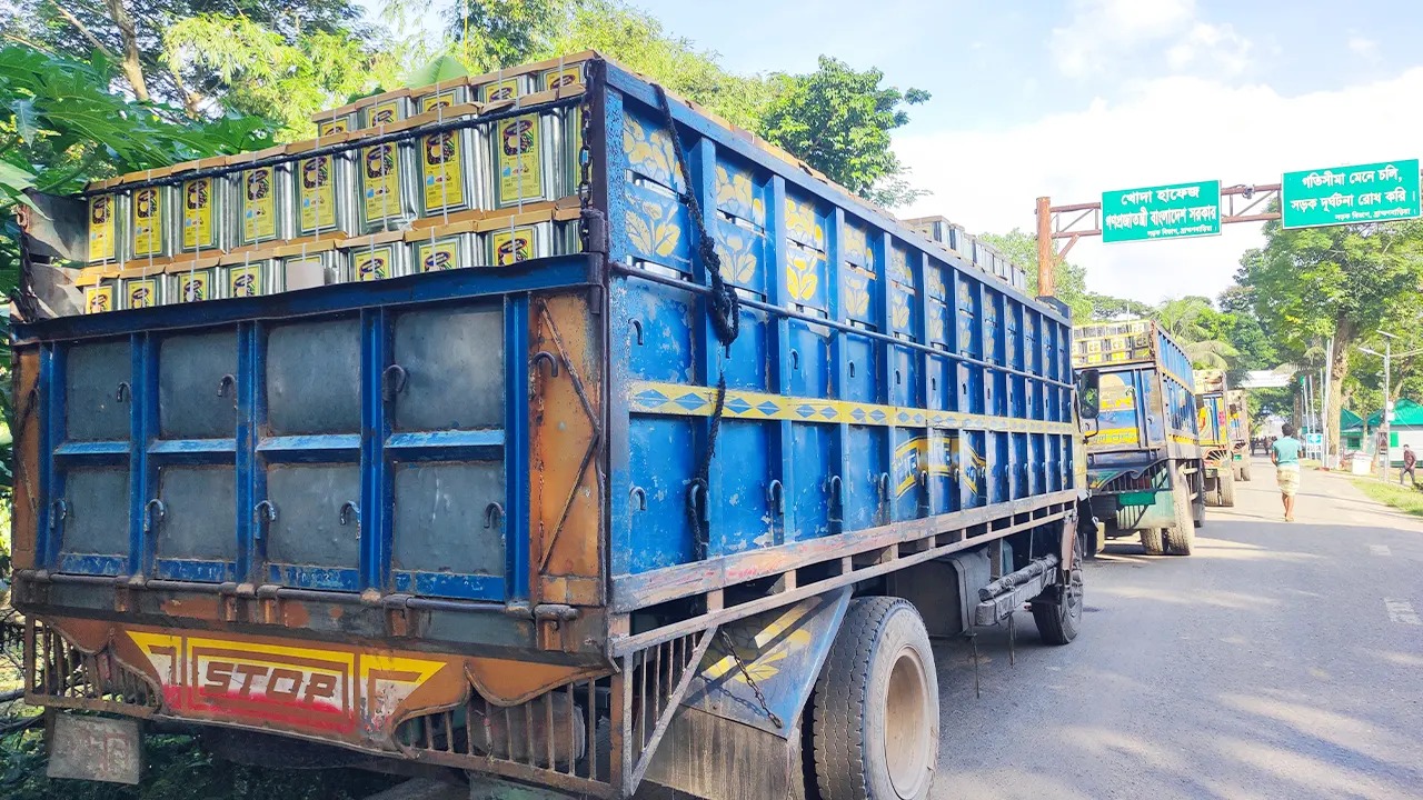 সংগৃহীত