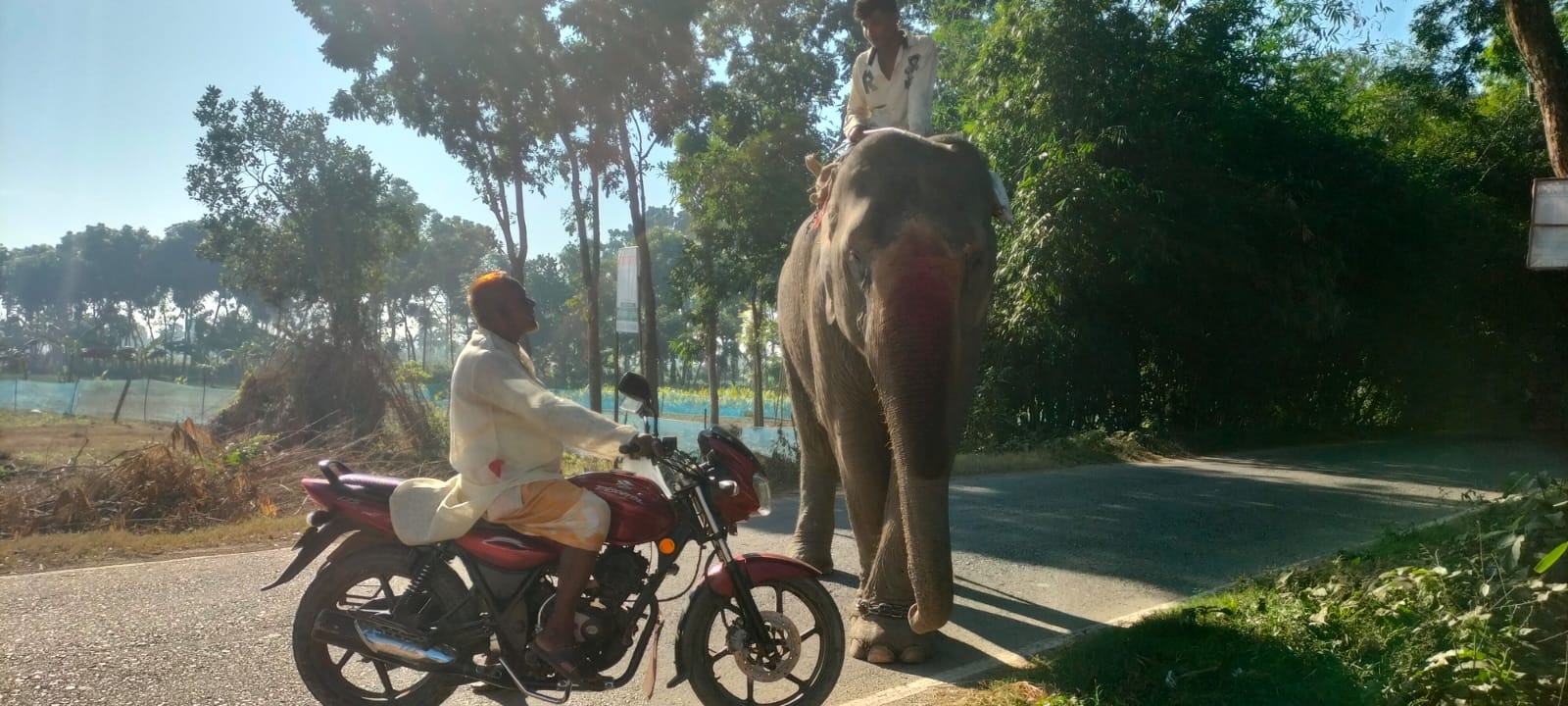 সংগৃহীত