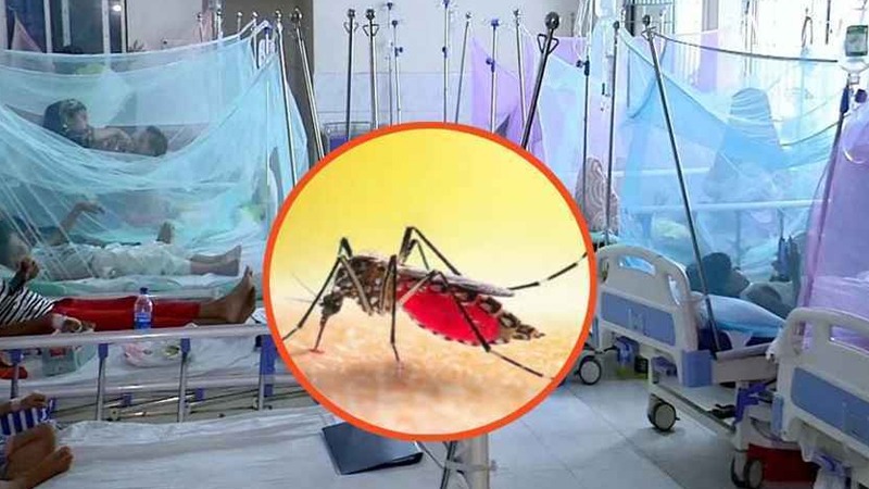 সংগৃহীত