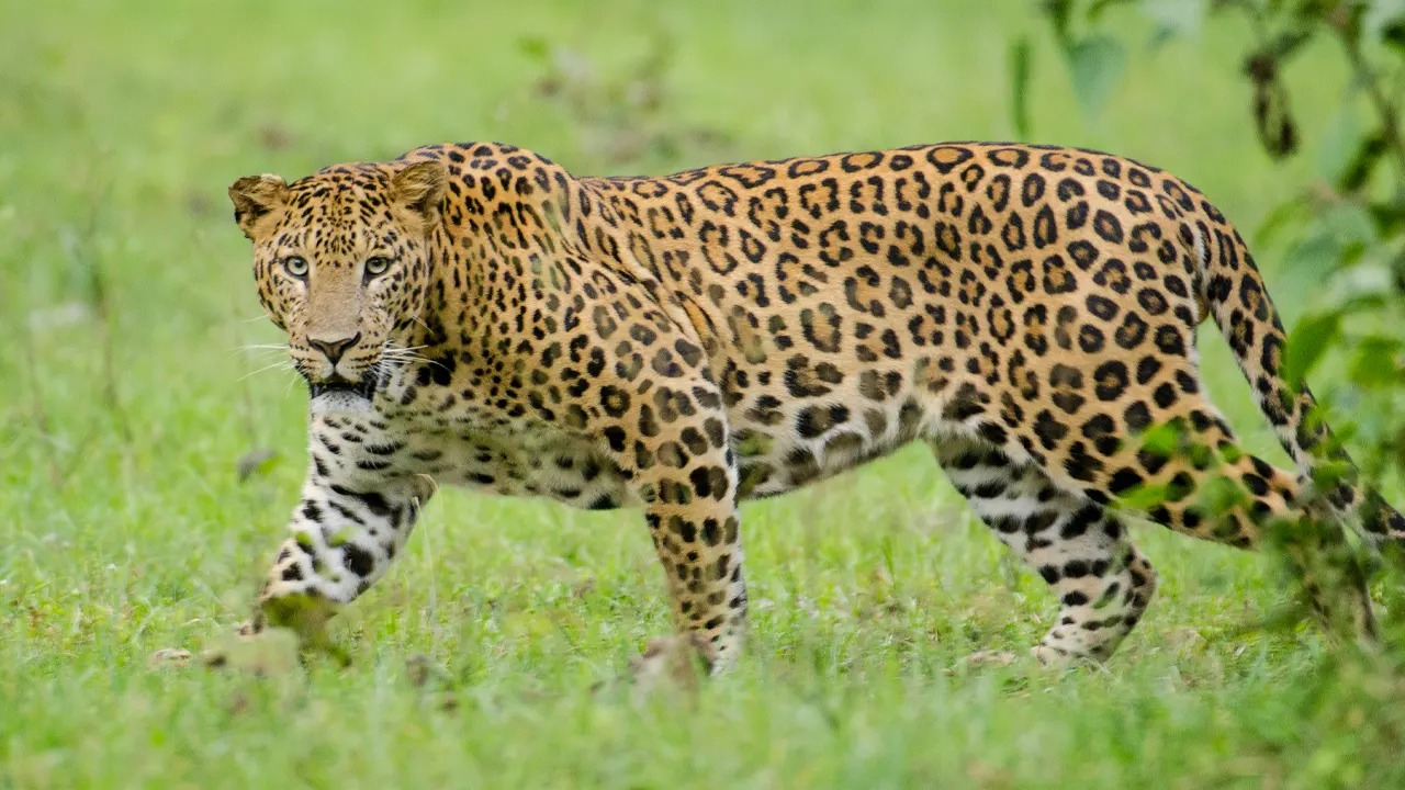 সংগৃহীত