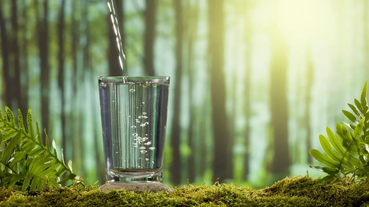 অ্যালকালাইন ওয়াটার: কতটা উপকারী