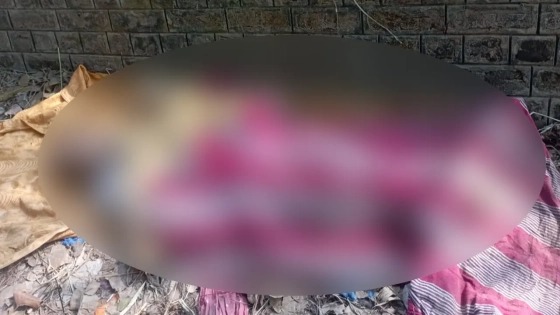 সংগৃহীত