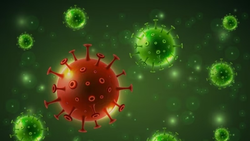 সংগৃহীত