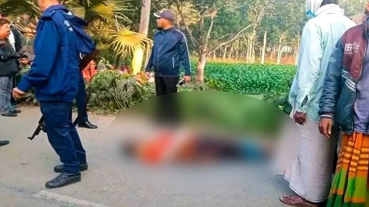 সংগৃহীত