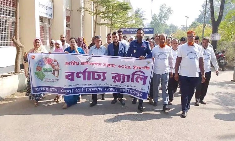 সংগৃহীত