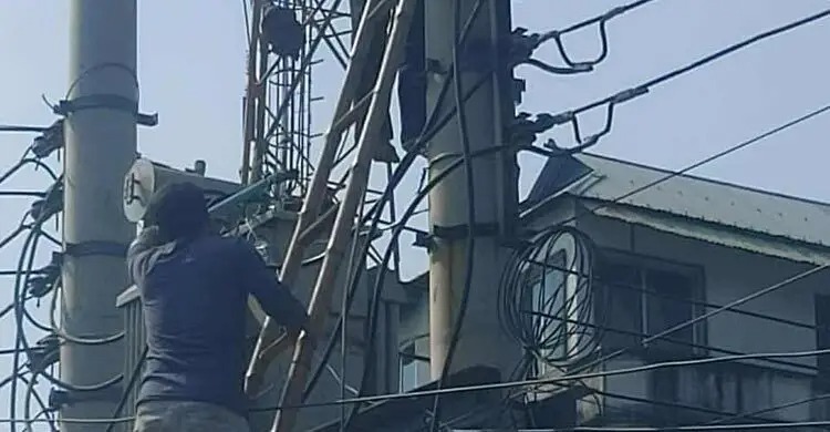 সংগৃহীত