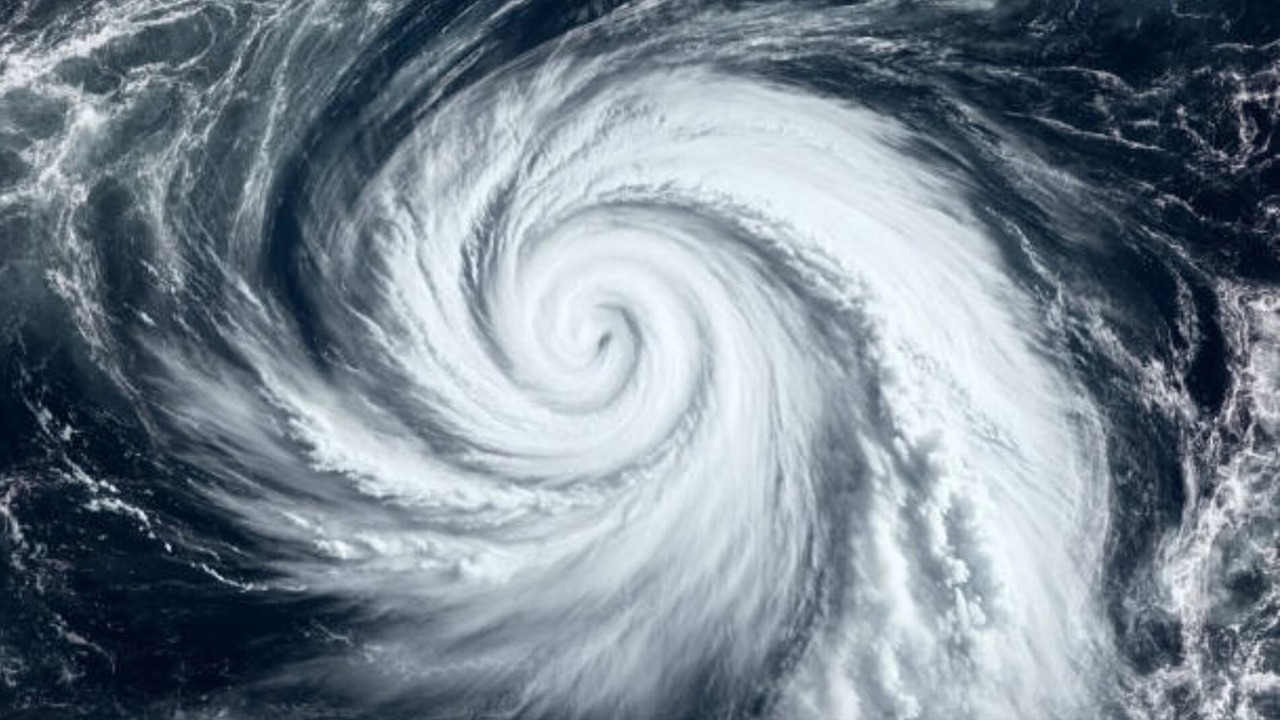 সংগৃহীত