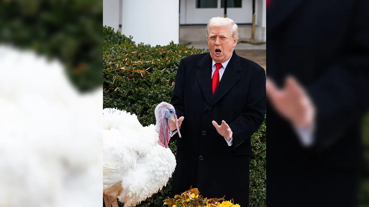 থ্যাঙ্কস গিভিং উপলক্ষে দুই টার্কি মুরগিকে ক্ষমা করলেন ট্রাম্প
