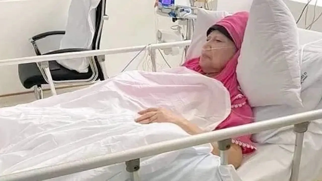 সংগৃহীত