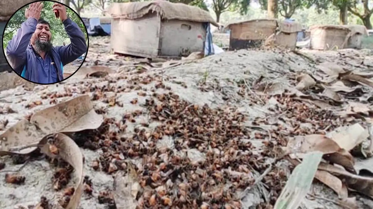 সংগৃহীত