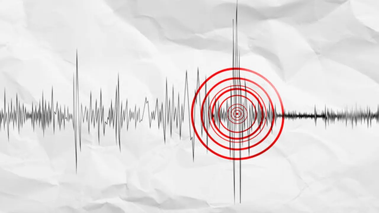 সংগৃহীত