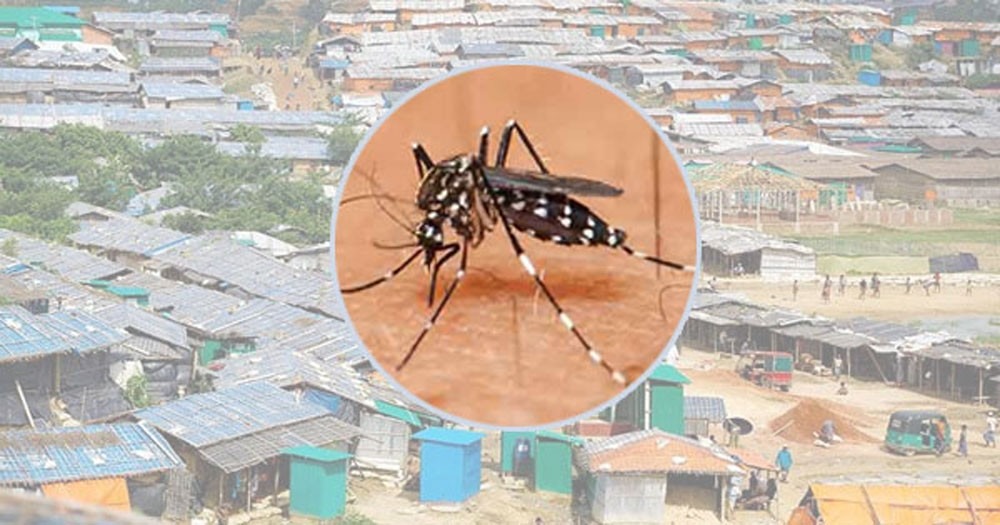 কক্সবাজারে ডেঙ্গুতে রোহিঙ্গা আক্রান্ত ও মৃত্যুর হার সর্বোচ্চ