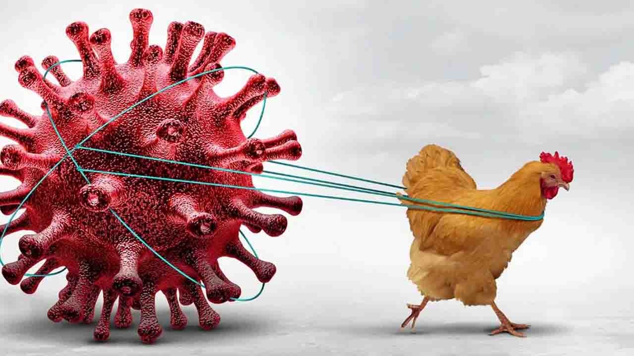 সংগৃহীত