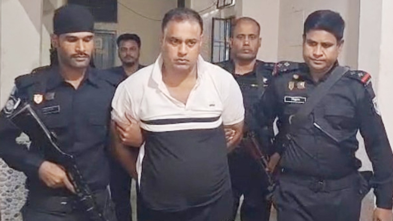 সংগৃহীত