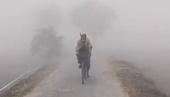 সংগৃহীত