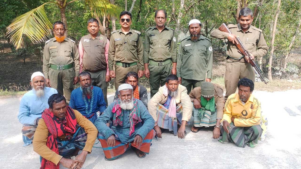 সংগৃহীত